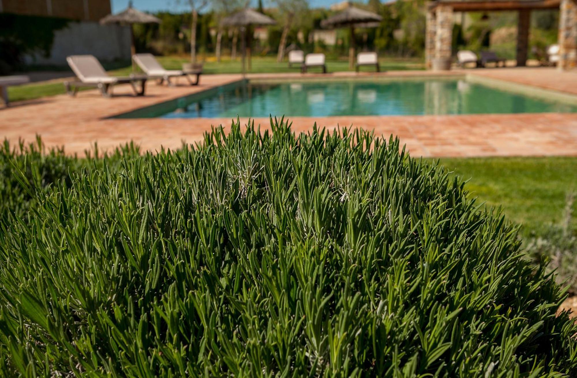 Mas Vermell Fontanilles Exterior foto